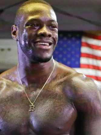 Deontay Wilder Net Worth 2017 Purse Per Fight