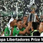 Copa Libertadores Winners Share 2017