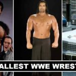 7 WWE Tallest Wrestlers all Time