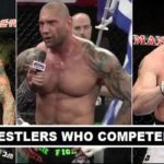 WWE Wrestlers Competed in UFC 2017